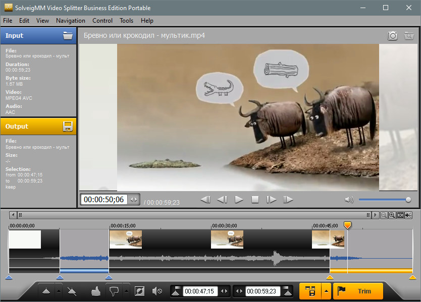 Программа SolveigMM Video Splitter